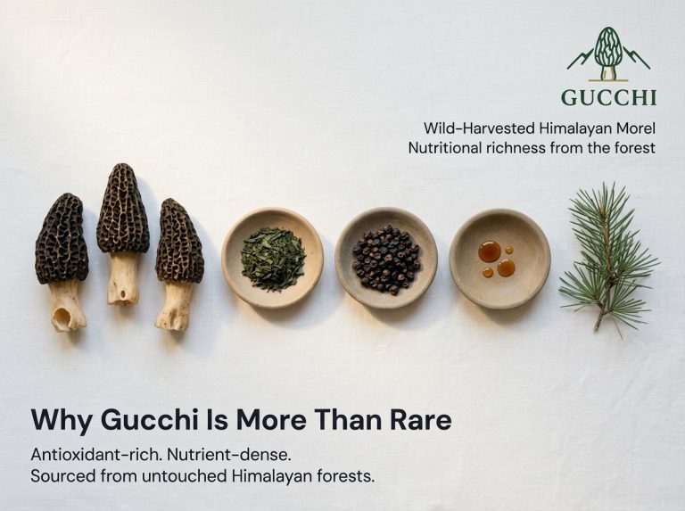 Beyond Rarity: The Nutritional Case for Wild-Harvested Himalayan Gucchi (Morel) Mushrooms
